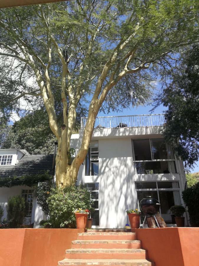 Fever Tree Suites Johannesburg Luaran gambar